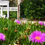 Lido Azzurro Ξενοδοχείο με διαμερίσματα Numana