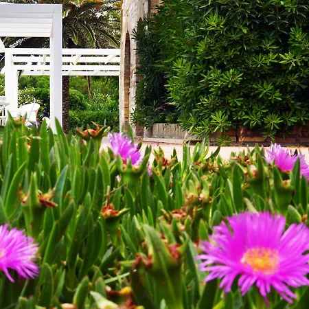 Lido Azzurro Apartmanhotel Numana